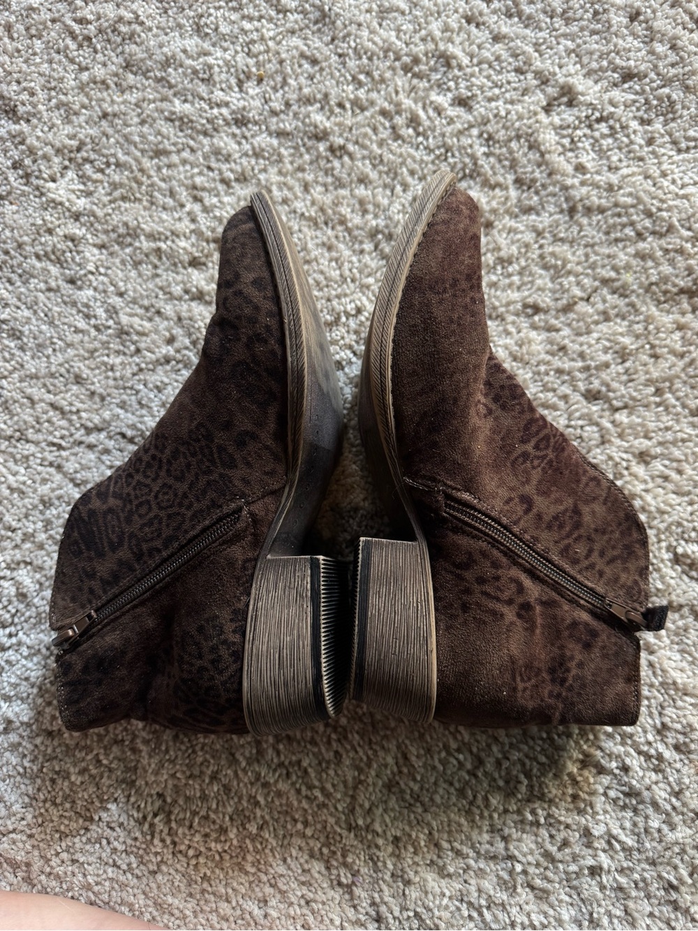 Buckle Very G Gypsy Jazz Leopard Almond Toe Ankle Booties Boots in Chocolate - Picture 2 of 12